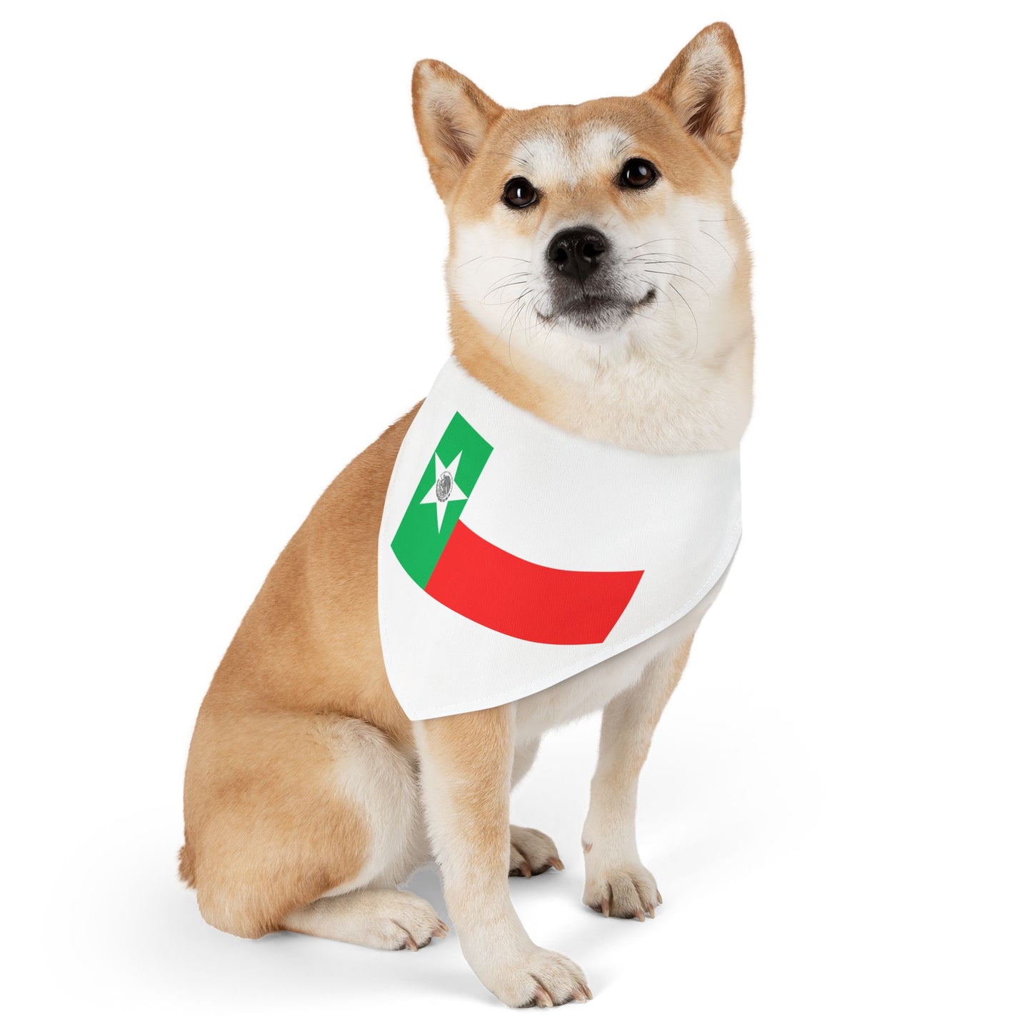 Pet Bandana Collar