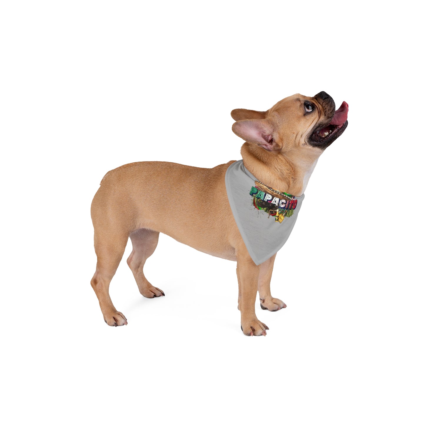 Papacito sombrero graphic Pet Bandana | Mexican fiesta themed bandana