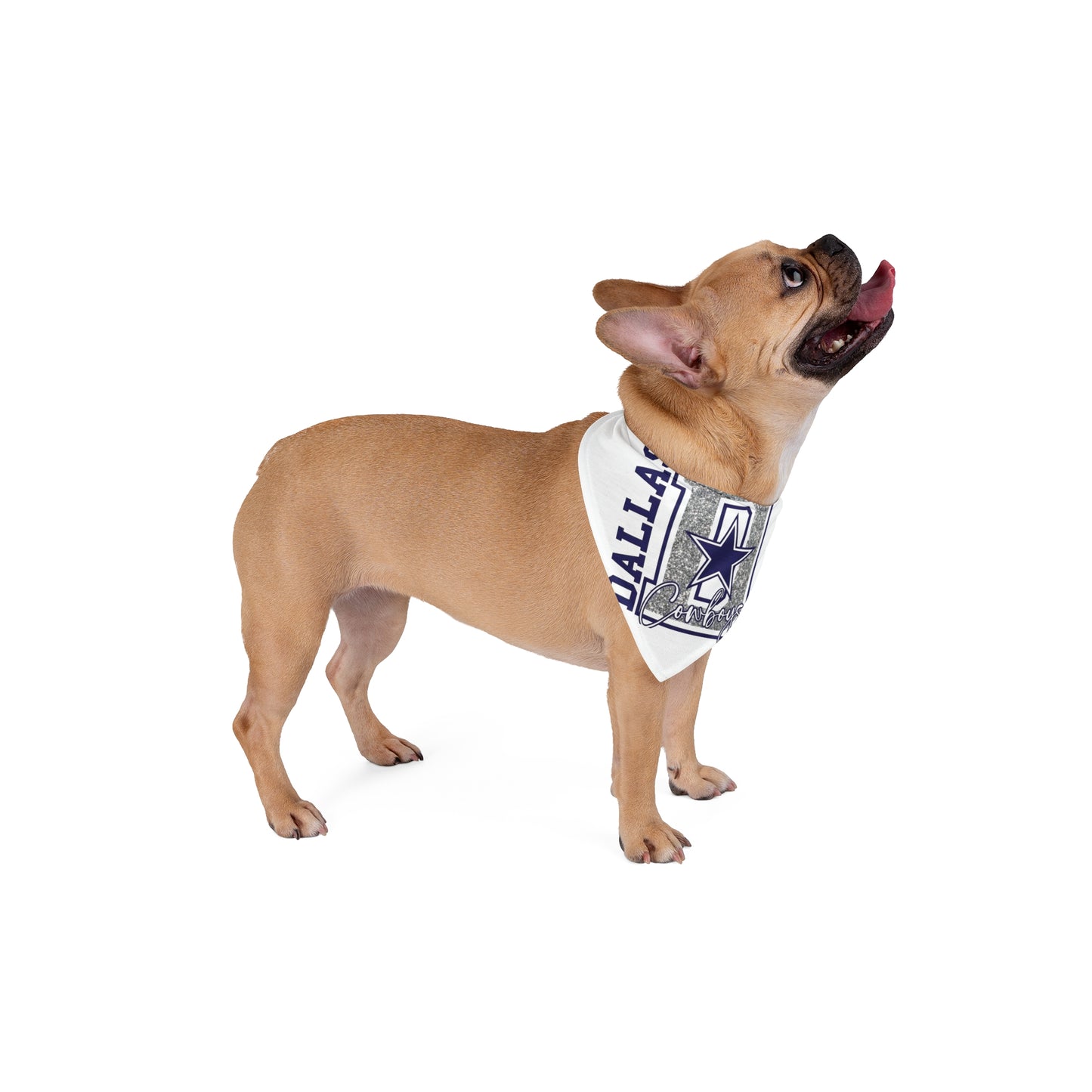 Pet Bandana
