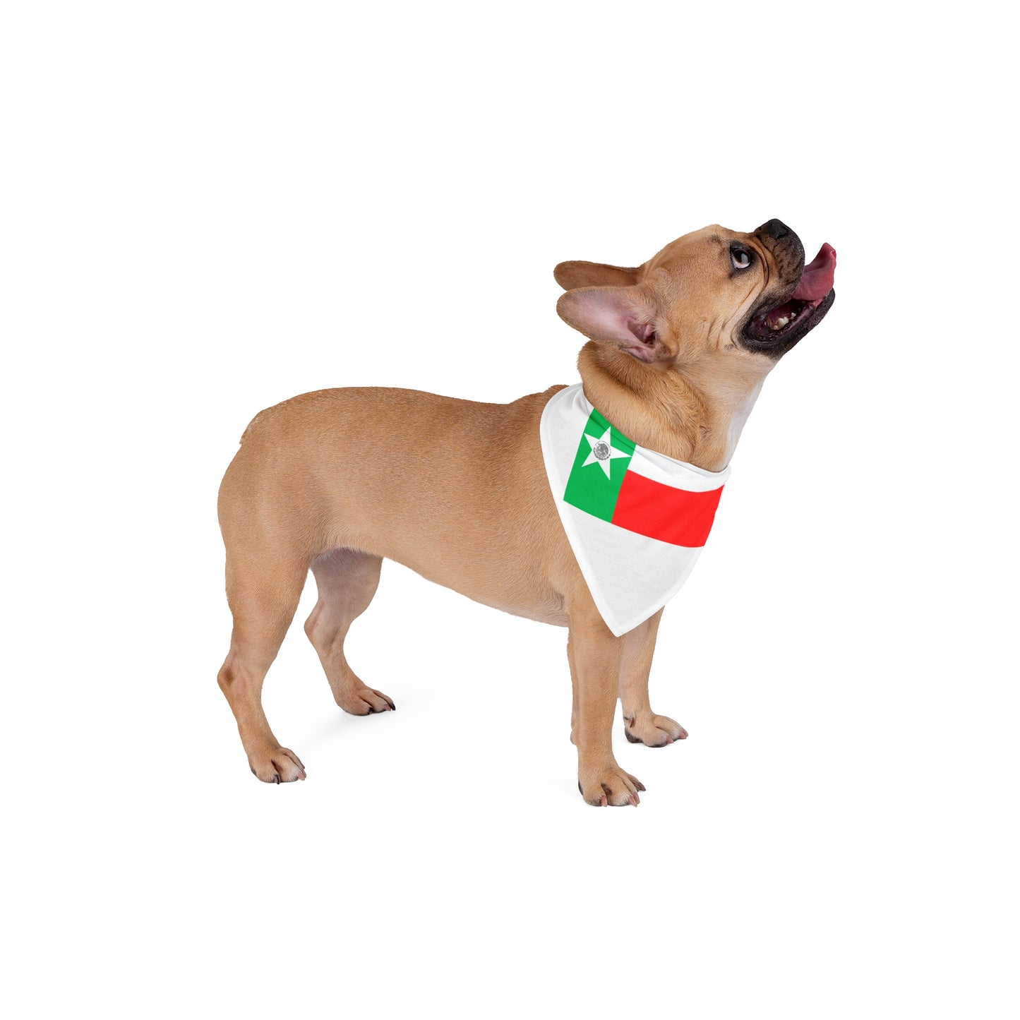 Green Star Red Stripe Pet Bandana | Dog Cat Bandana, Patriotic Flag Motif