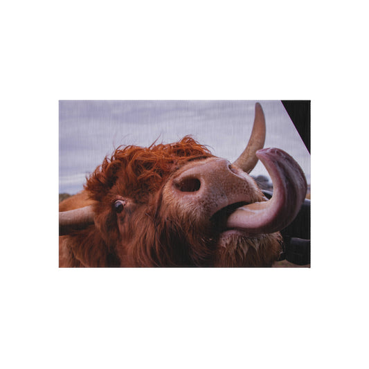 Highland Cow Tongue Photo Outdoor Rug | Funny Farm Animal Doormat